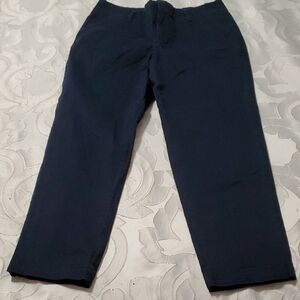Banana Republic Blue Chinos Straight-Leg